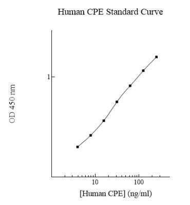 ELISA: Human Carboxypeptidase E/CPE ELISA Kit (Colorimetric) [NBP2-60512]