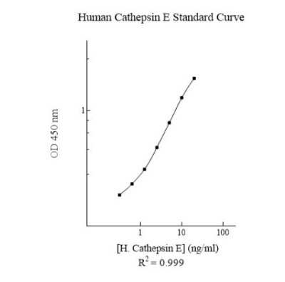 ELISA: Human Cathepsin E ELISA Kit (Colorimetric) [NBP3-18704]