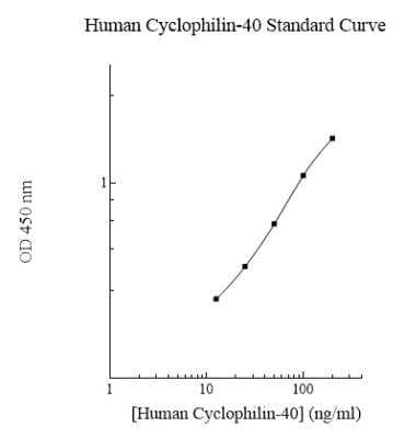 ELISA: Human Cyclophilin 40 ELISA Kit (Colorimetric) [NBP2-60549]