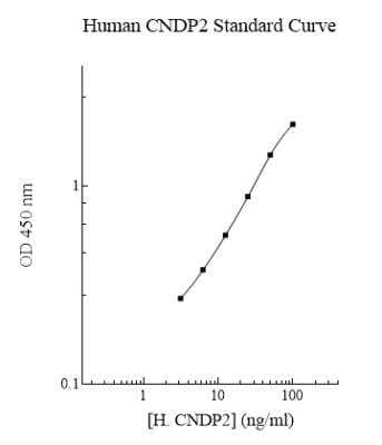 ELISA: Human Cytosol Nonspecific Dipeptidase (CNDP2)/CPGL ELISA Kit (Colorimetric) [NBP2-60551]