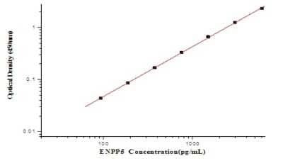 ELISA: Human ENPP-5 ELISA Kit (Colorimetric) [NBP2-80345]