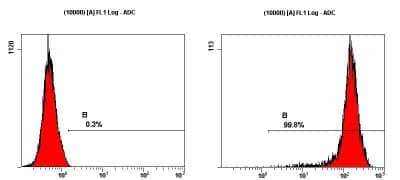 Flow Cytometry: Human ESC Marker Antibody Pack [NBP1-42825]