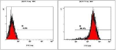 Flow Cytometry: Human ESC Marker Antibody Pack [NBP1-42825]