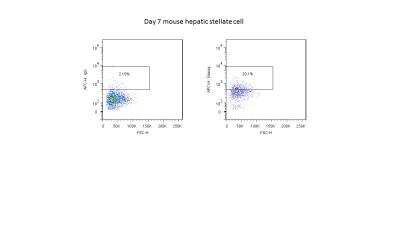 Flow Cytometry: Human ESC Marker Antibody Pack [NBP1-42825]