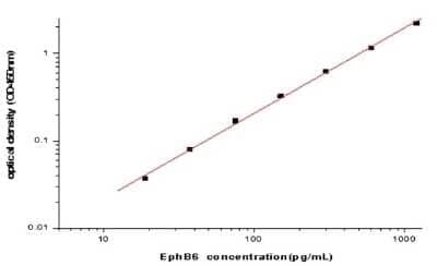 ELISA: Human EphB6 ELISA Kit (Colorimetric) [NBP2-80319]