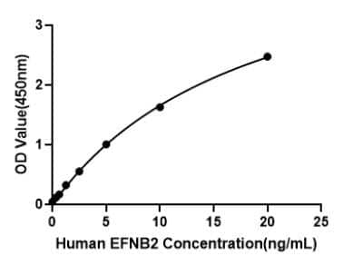 ELISA: Human Ephrin-B2 ELISA Kit (Colorimetric) [NBP3-18214]