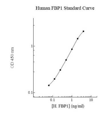 ELISA: Human FBPase 1 ELISA Kit (Colorimetric) [NBP3-18717]