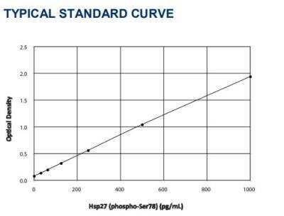 ELISA: Human HSP27 [p Ser78] ELISA Kit (Colorimetric) [NBP2-62152]