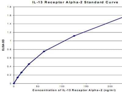 ELISA: Human IL-13R alpha 2 ELISA Kit (Colorimetric) [KA0524]