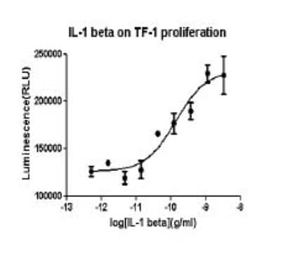 Functional: Recombinant Human IL-1 beta/IL-1F2 Protein [NBP2-35895]