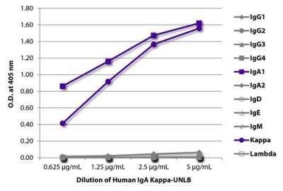 ELISA: Human IgA Kappa Isotype Control [NBP3-06873]