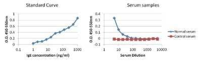 ELISA: Human IgE Antibody (F4-#16) [NBP1-78578]