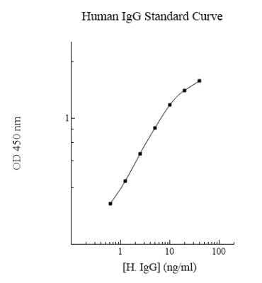 ELISA: Human IgG ELISA Kit (Colorimetric) [NBP2-60474]