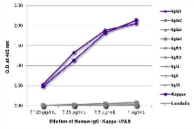 ELISA: Human IgG1 Kappa Isotype Control [NBP3-06872]