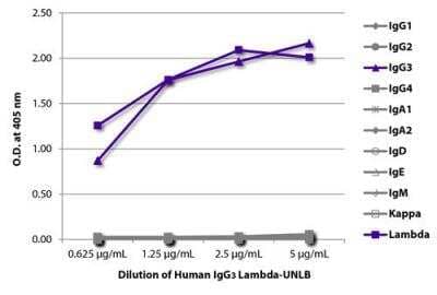 ELISA: Human IgG3 Lambda Isotype Control [NBP3-06871]