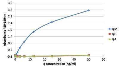 ELISA: Human IgM Antibody (P5E2) [NBP1-78603]