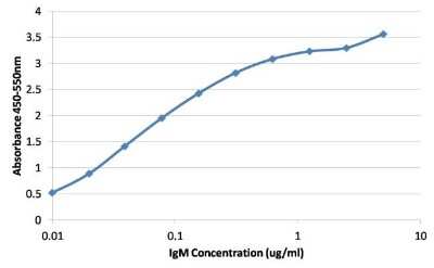 ELISA: Human IgM Antibody (P5E2) [NBP1-78603]