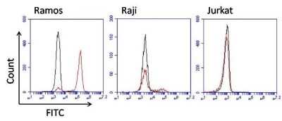Flow Cytometry: Human IgM Antibody (P5E2) [NBP1-78603]