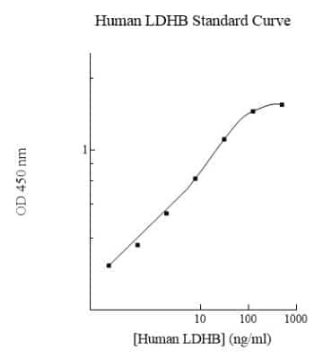 ELISA: Human Lactate Dehydrogenase B ELISA Kit (Colorimetric) [NBP2-60576]