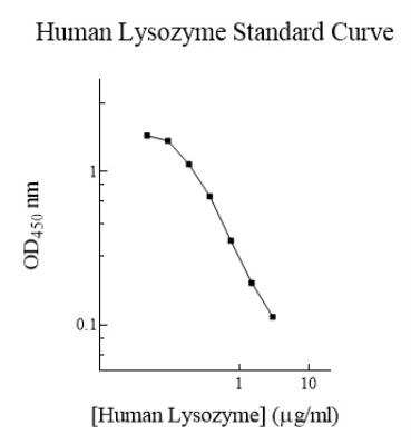 ELISA: Human Lysozyme ELISA Kit (Colorimetric) [NBP2-60513]