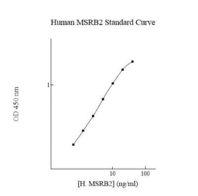 ELISA: Human MSRB2 ELISA Kit (Colorimetric) [NBP3-18730]