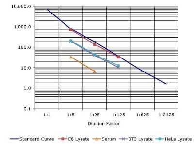 ELISA: Human, Mouse, Rat GRP78/HSPA5 ELISA Kit (Colorimetric) [NBP2-62145]