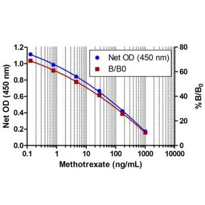 ELISA: Human, Mouse, Rat Methotrexate ELISA Kit (Colorimetric) [NBP2-62161]
