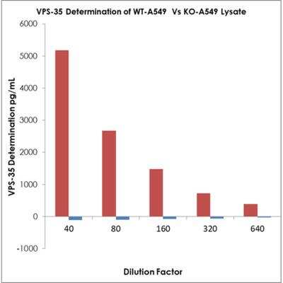 ELISA: Human, Mouse, Rat VPS35 ELISA Kit (Colorimetric) [NBP3-11045]