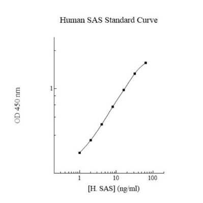 ELISA: Human NANS ELISA Kit (Colorimetric) [NBP3-18741]