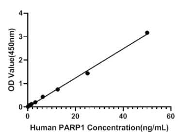 ELISA: Human PARP ELISA Kit (Colorimetric) [NBP3-18217]