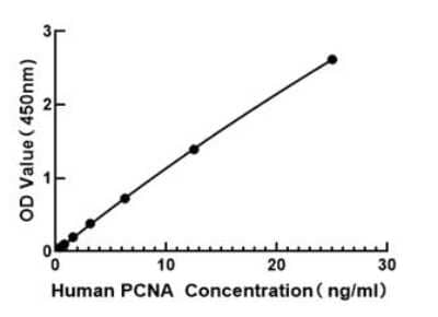 ELISA: Human PCNA ELISA Kit (Colorimetric) [NBP3-18219]