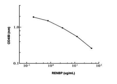 ELISA: Human RENBP ELISA Kit (Colorimetric) [KA1838]