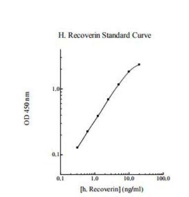 ELISA: Human Recoverin ELISA Kit (Colorimetric) [NBP2-60597]