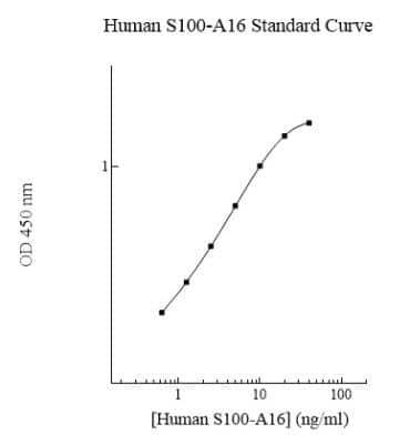 ELISA: Human S100A16 ELISA Kit (Colorimetric) [NBP2-60601]