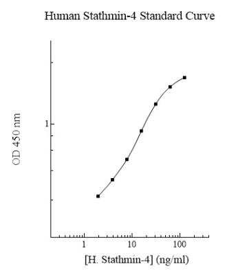 ELISA: Human STMN4 ELISA Kit (Colorimetric) [NBP2-60602]