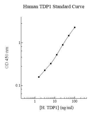 ELISA: Human TDP1 ELISA Kit (Colorimetric) [NBP2-60608]