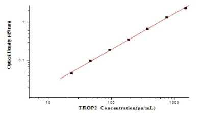 ELISA: Human TROP-2 ELISA Kit (Colorimetric) [NBP2-80359]