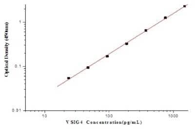 ELISA: Human VSIG4 ELISA Kit (Colorimetric) [NBP2-80355]