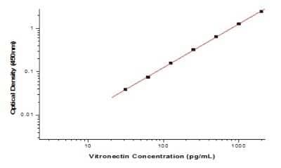 ELISA: Human Vitronectin ELISA Kit (Colorimetric) [NBP2-80358]