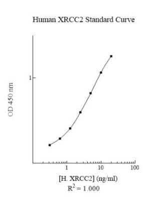 ELISA: Human XRCC2 ELISA Kit (Colorimetric) [NBP3-18735]