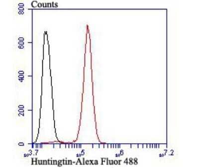 Flow Cytometry: Huntingtin Antibody (JB89-34) [NBP2-75531]