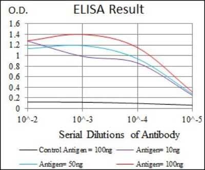 ELISA: Hyaluronan Synthase 3/HAS3 Antibody (3C9) - BSA Free [NBP2-37494]