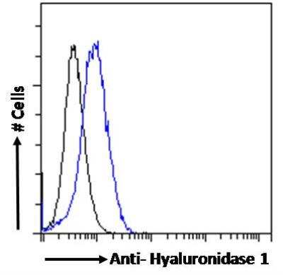 Flow Cytometry: Hyaluronidase 1/HYAL1 Antibody [NBP1-00201]