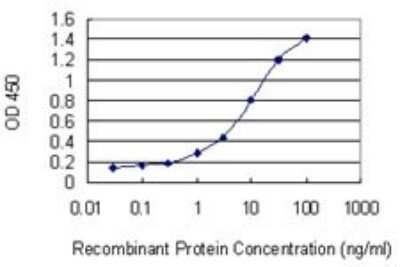 ELISA: IA-2/PTPRN Antibody (8E3) [H00005798-M07]