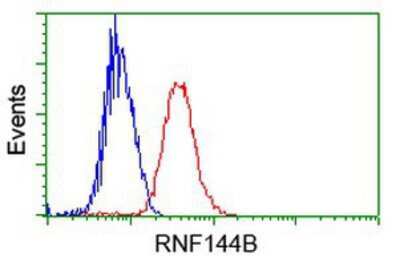 Flow Cytometry: IBRDC2 Antibody (OTI9H10) [NBP2-02128]