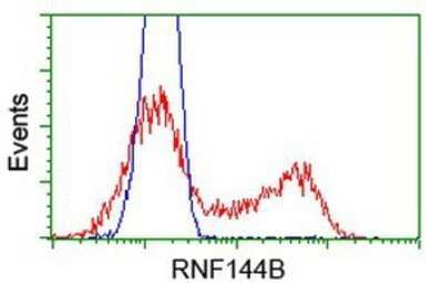 Flow Cytometry: IBRDC2 Antibody (OTI9H10) - Azide and BSA Free [NBP2-72470]