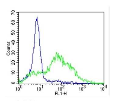 Flow Cytometry: ICAM-1/CD54 Antibody (1A29) [NBP2-22541]
