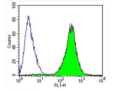 Flow Cytometry: ICAM-1/CD54 Antibody (1A29) [NBP2-22541]
