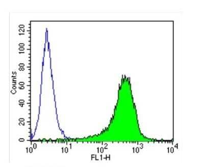 Flow Cytometry: ICAM-1/CD54 Antibody (1A29) [NBP2-22541]