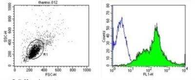 Flow Cytometry: ICAM-1/CD54 Antibody (3E2B) - Azide and BSA Free [NBP2-22540]
